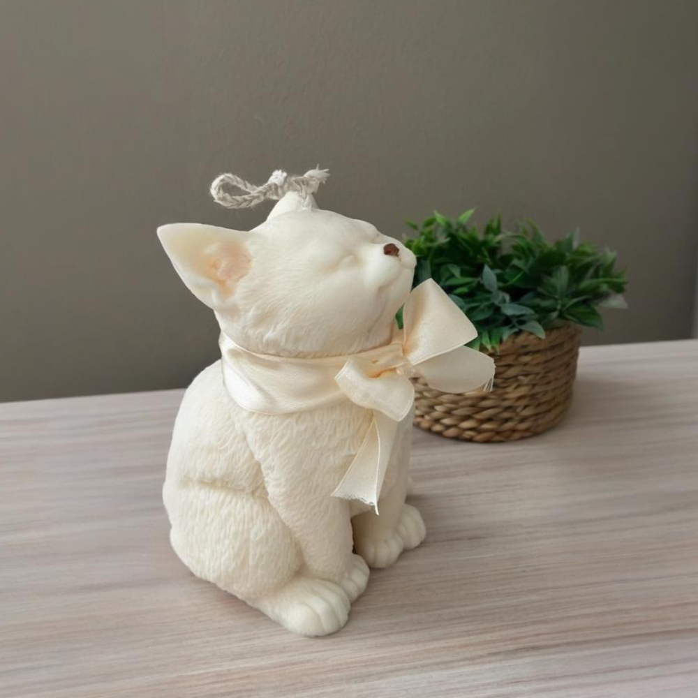 Moule en Silicone pour chat so - Candle Making Tutorial avis et prix